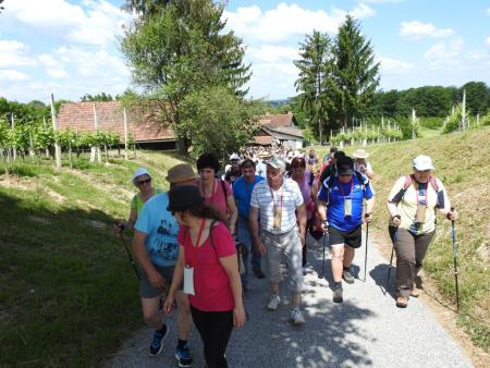Pomlad v prleških goricah 2017 97
